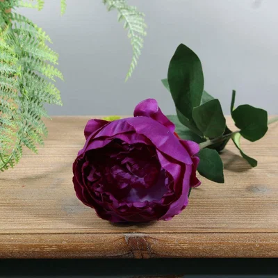 The Range Single Arundel Garden Peony 57cm - Purple