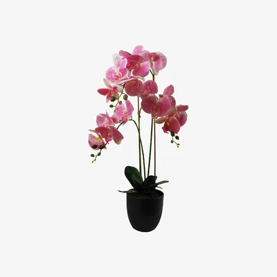The Range Artificial Orchid Light Pink - Green