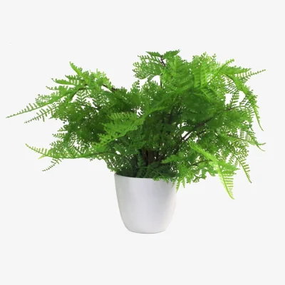 The Range Premium Artificial Fern Grass - Lady Fern / 40cm / 30cm / Artificial potted lady fern (Athyrium Filix-Femina) in a white rounded plastic pot with blac