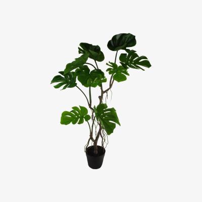 The Range Twisted Stem Monstera Artificial Plant - Green