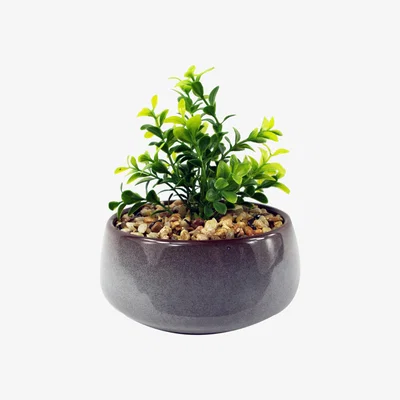 The Range Ceramic Blue Dish Planter Artificial Crassula Plant - Blue