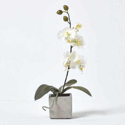 The Range Homescapes White Artificial Orchid Flowers in Pot - White