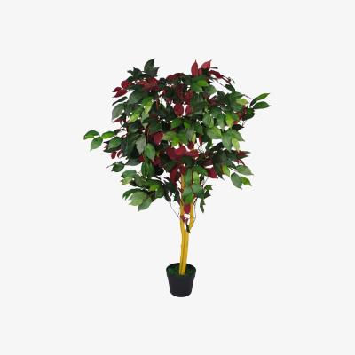 The Range Artificial Capensia Tree Ficus Plant - Extra Large - Red