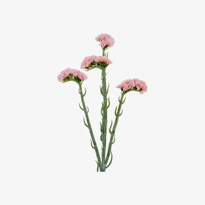 The Range Hill Interiors Statice Artificial Flower Spray - Pink