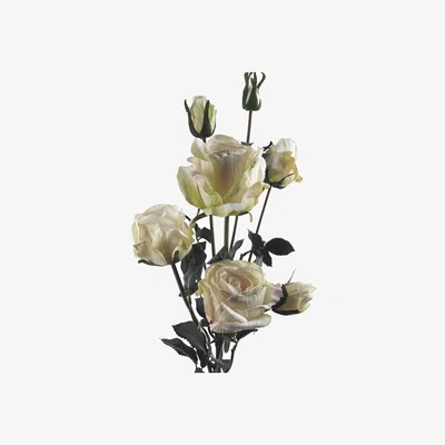 The Range Cream Rose Artificial Flowers Spray 4 Flowers 3 Buds - White