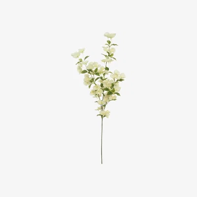 The Range Silk Oriental Blossom Spray - Cream