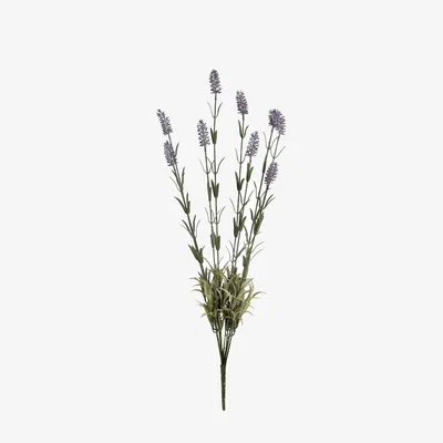 The Range Large Lavender Spray Delicate Floral Accent - Purple