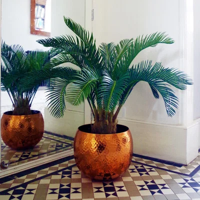 The Range Cycas Palm Plant Artificial Tropical Tree - Green / 70cm