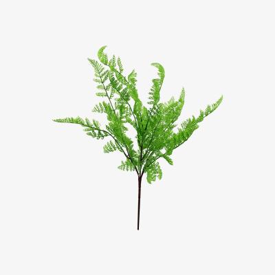 The Range Southern Wood Fern Bush Dark Green Plant - Green