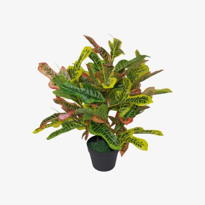The Range Artificial Codiaeum Multicoloured House Plant - Orange / 65cm