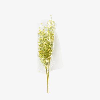 The Range Spring Gypsophila Spray
