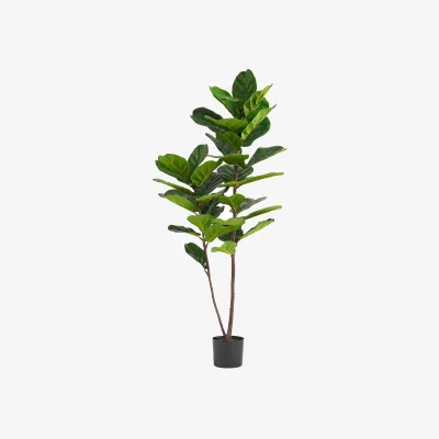 The Range Leaf Design UK Artificial Plant Fiddle Fig Tree  Plant Black Plastic Pot - 150cm Premium Fig Leaf Tree / 150cm / 45cm