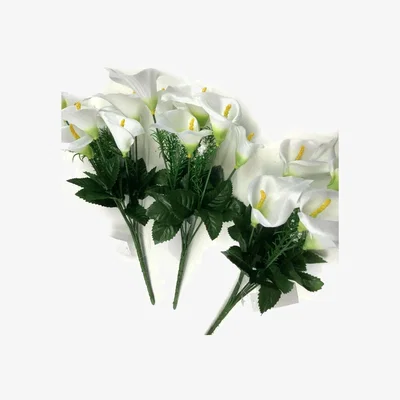 The Range Pack of 3 Calla Lily Plants Sprays with White Flowers - White