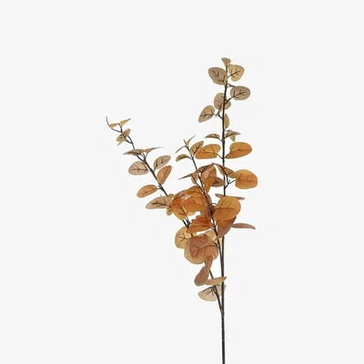 The Range Artificial Autumn Eucalyptus Foliage Stem 100cm - Brown