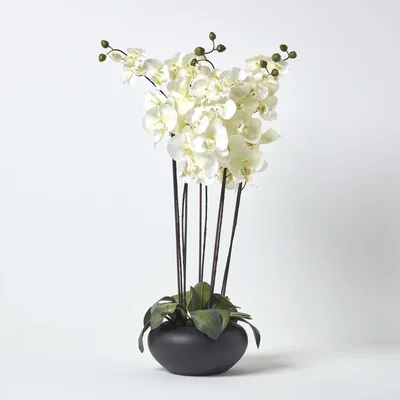 The Range Homescapes Large Oriental Style Cream Orchids in Black Bowl - Cream