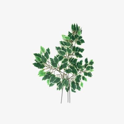 The Range 3 Artificial Faux Variegated Green Ficus Tree Leaf Sprays - Green