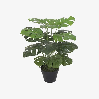 The Range Monstera Plant Artificial - Green
