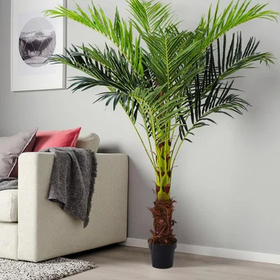 The Range Large Artificial Plants in Pots - Green