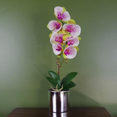 The Range Artificial Orchid Harlequin Pink Silver Pot - Pink