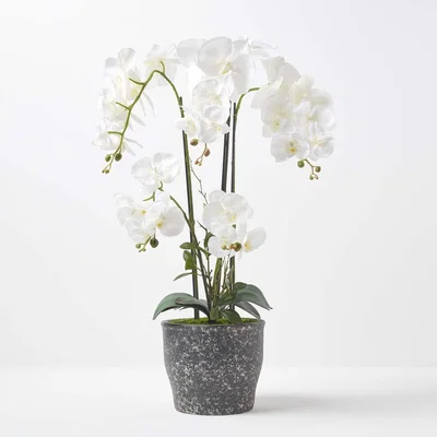 The Range Homescapes Extra Large 82cm Lifelike Artificial White Orchid in Grey Ceramic Pot - White