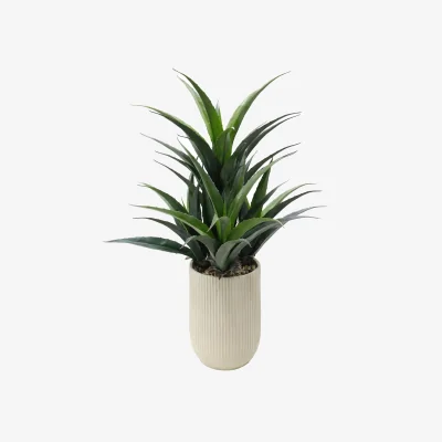 The Range XL Commercial Artificial Plant Displays - 113cm Agave Display / 55cm