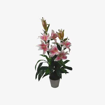 The Range Artificial Lily Stargazer Style Lillies Plant Large flower Pink - Pink