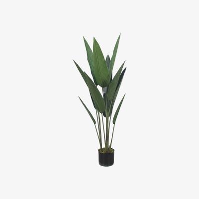 The Range Artificial Traveller Palm - Green