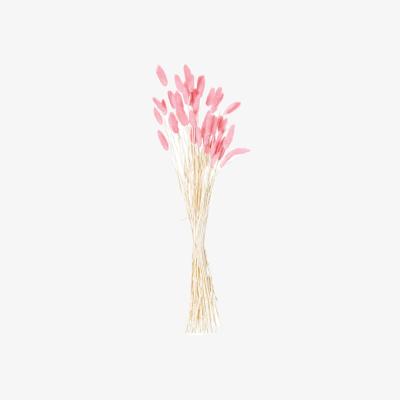 The Range Dried Pale Pink Bunny Tail Bunch Boho Accent - Pink