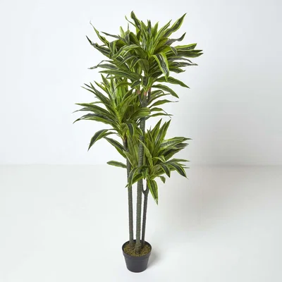 The Range Homescapes Artificial Dracaena Reflexa in Pot, 150 cm Tall - Green