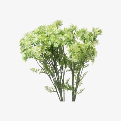 The Range Delicate Flowers Plumb Blossom Spray - Green