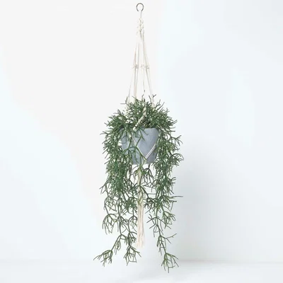 The Range Homescapes Artificial Hanging Basket Green Rhipsalis Plant, 116 cm - Green