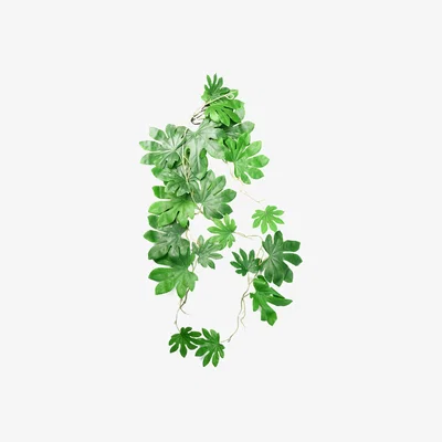 The Range Artificial Hanging Trailing Aralia Plant - Green