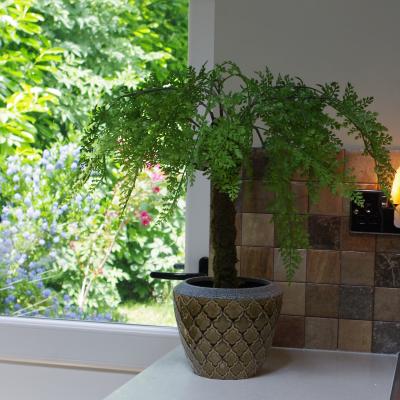 The Range Mini Artificial Fern Tree Black Pot - Green