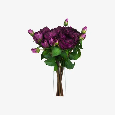 The Range Deep Purple Peony Rose Spray Wedding Floral - Purple