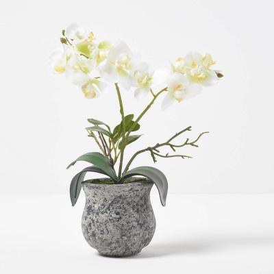 The Range Homescapes 32cm Lifelike Artificial White Orchid in Grey Cement Pot - White