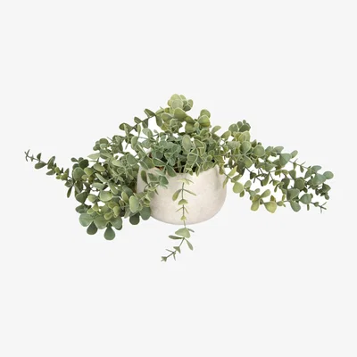 The Range Trailing Eucalyptus in Wash Pot - Green