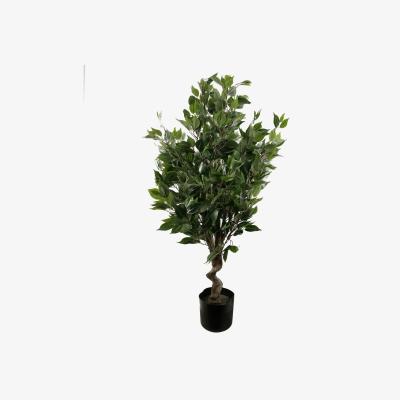 The Range Artificial Evergreen Ficus Tree - Green / 55cm