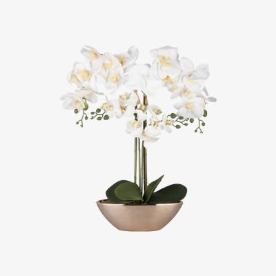 The Range Elegant Orchid In Rose Gold Pot