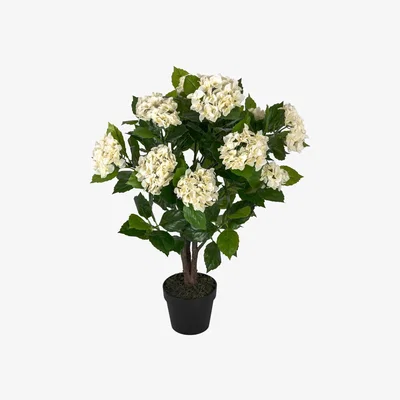 The Range Homescapes Artificial Cream Hydrangea in Black Pot, 85 cm - Natural