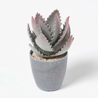 The Range Homescapes Purple and Green Aloe Vera Artificial Succulent in Grey Pot - Green