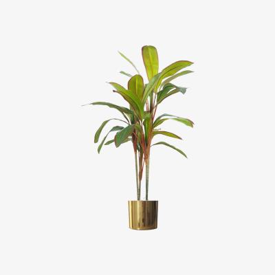 The Range Artificial Realistic Dracaena Tropical Plant Gold Metal Planter - Green