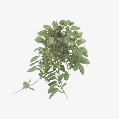 The Range Trailing Ivy in Marble Pot