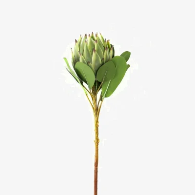 The Range Hill Interiors Protea Protea Artificial Flower - Green