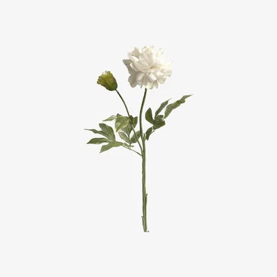 The Range Ivory Peony
