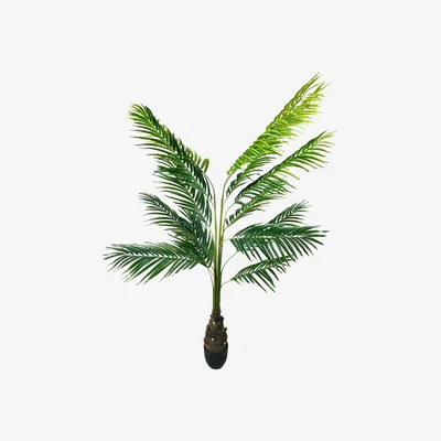 The Range Artificial Palm Trees - Green