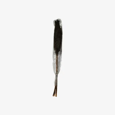 The Range Set of 5 Tall Pampas
