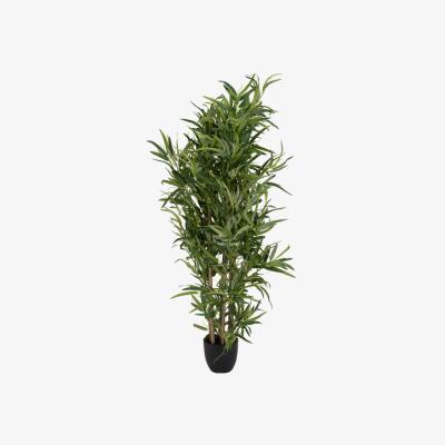 The Range Bamboo Tree