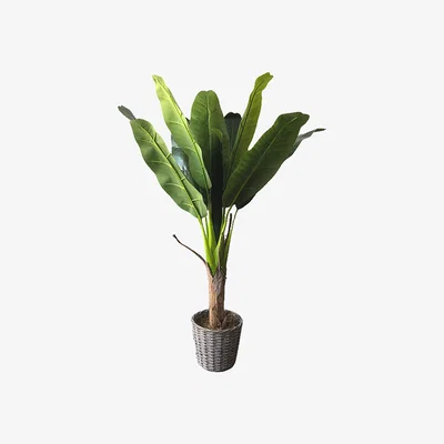The Range Banana Tree with Wicker Basket