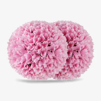 The Range 2 PCS Artificial Plant Topiary Balls - Pink