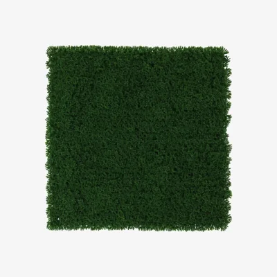 The Range Dark Green Exterior Moss Wall Artificial Flowers - Dark Green